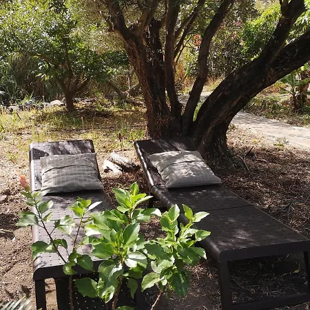 Nature Retreat: Confort&peaceful In A Eco-paradise San Sebastián de la Gomera