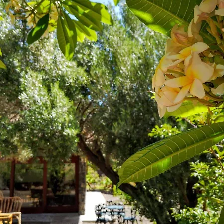 Nature Retreat: Confort&peaceful In A Eco-paradise